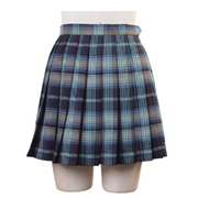 School Skirt costume578